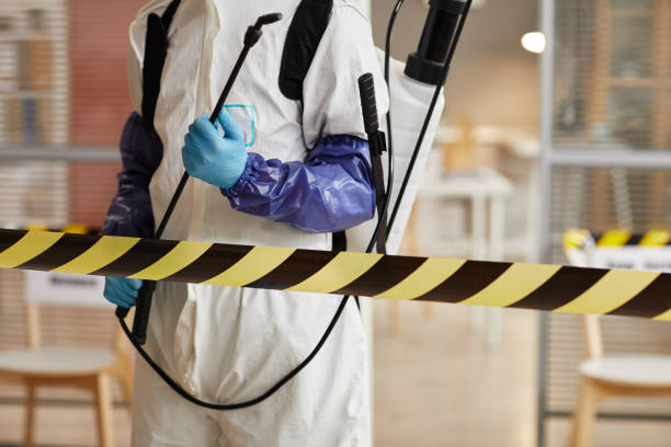 Professional Sewage Cleanup technician working in Jefferson, NH